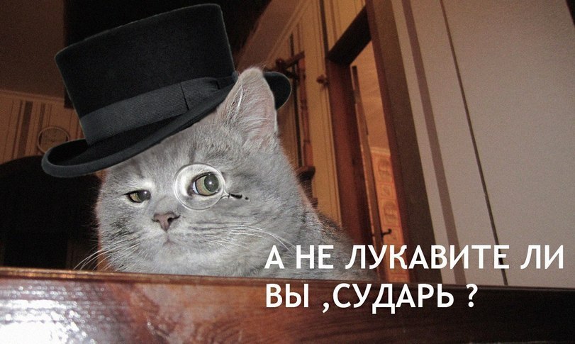 http://cs8.pikabu.ru/images/big_size_comm/2016-01_4/1453232641181790388.jpg