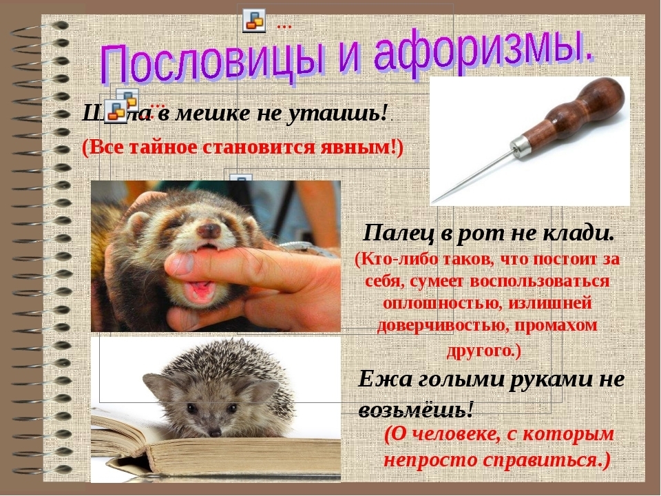 Объемные туши для ресниц лореаль Объемные туши для ресниц лореаль
