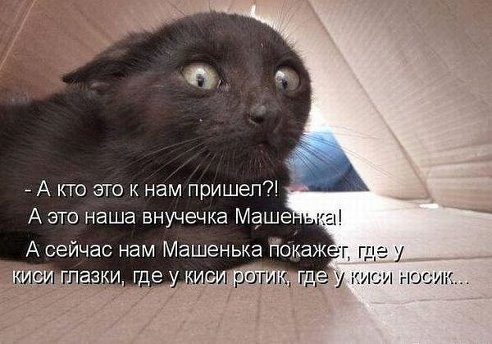 каникулы кончились картинки онлайн каникулы кончились картинки