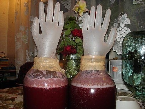 Домашние вино из винограда в домашних условиях видео Домашние вино из винограда в домашних условиях видео