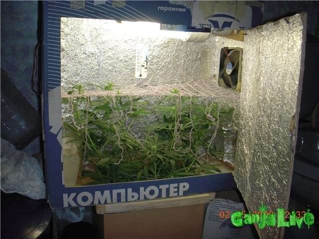 Гроубокс для марихуаны своими руками