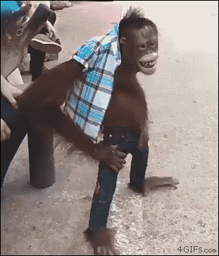 1469453241160428199.gif