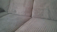 1470584419140433732.gif