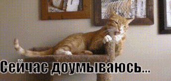 14839604521764940.gif