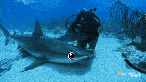 1487508957193393752.gif