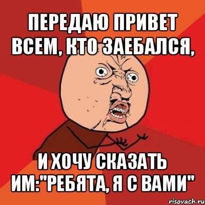 Зеркальный акрил в дизайне сада: техника крепления и ошибки размещения Года N 255-ФЗ