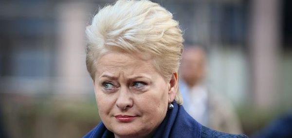 Между молотом и наковальней. Почему Литва боится общей армии Европы? Между молотом и наковальней. Почему Литва боится общей армии Европы?