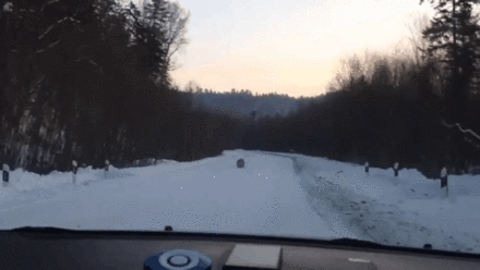 145443970718046566.gif