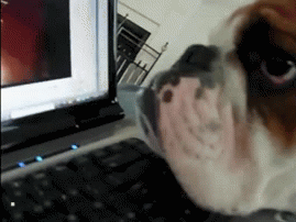 1454376762161556673.gif