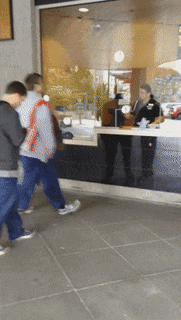 1454388109141425476.gif
