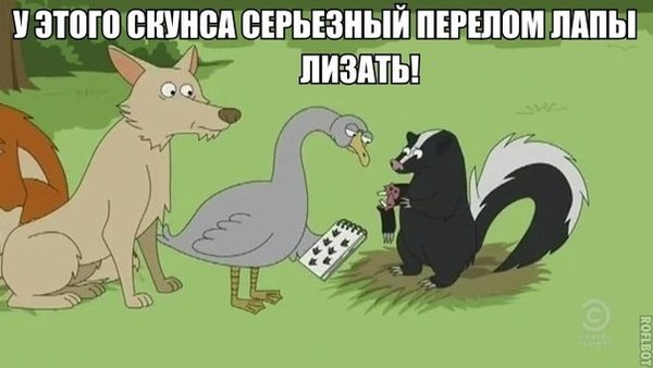 1455351047116470045.jpg