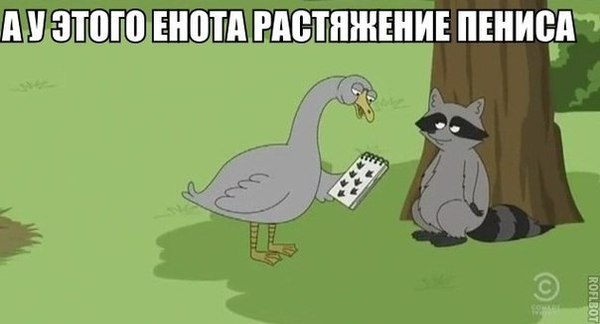 1455351233167443103.jpg