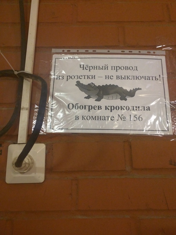 1455534047161616253.jpg