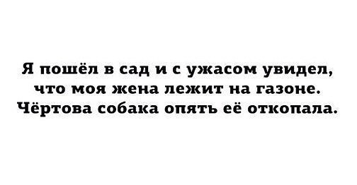 1456792094196762259.jpg