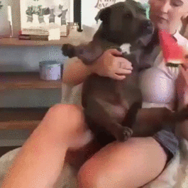1456845033121534428.gif