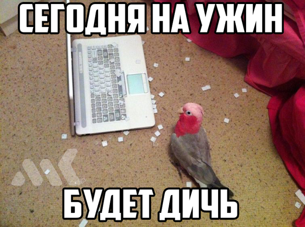 145702405414430666.jpg