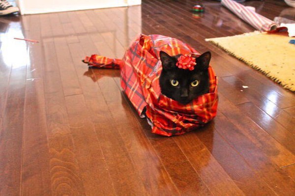Коти - игрушка мягкая кошка ручной работы в подарок Коти - игрушка мягкая кошка ручной работы в подарок