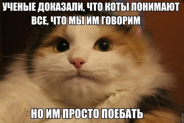 1457694666183087730.jpg
