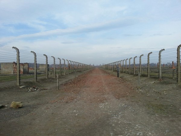 Часть вторая Аушвиц II Биркенау. Освенцим, Лагерь, Жесть, Война, Память, Длиннопост