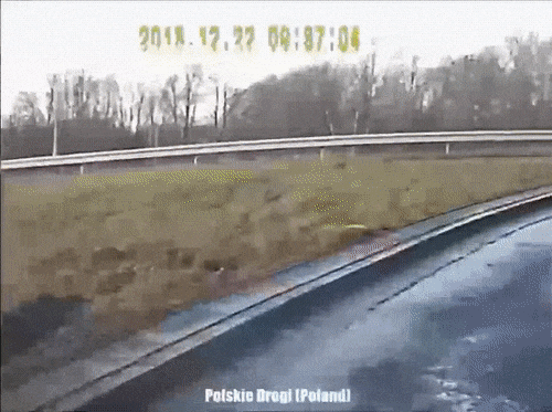 1458202521198025810.gif