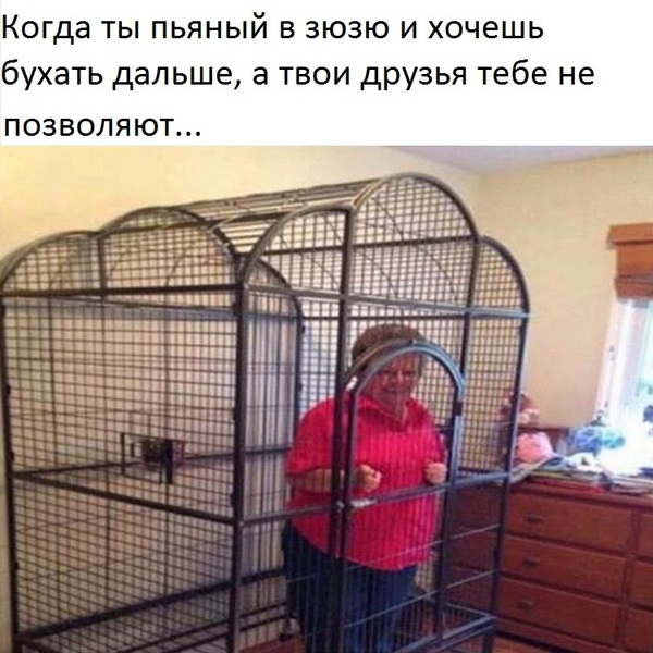 1458819345138476085.jpg