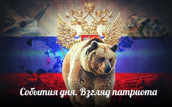 обои на рабочий стол русский медведь на фоне флага без смс №174751 обои на рабочий стол русский медведь на фоне флага № 174750 загрузить