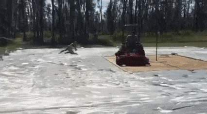 1459777225141738350.gif