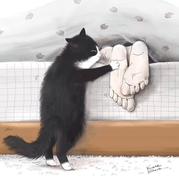 Жизнь кота рисунок Жизнь кота рисунок