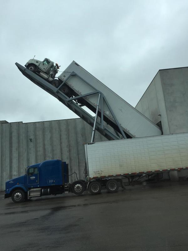 Вот так вот разгружают грузовики с картошкой на фабрике по производству чипсов