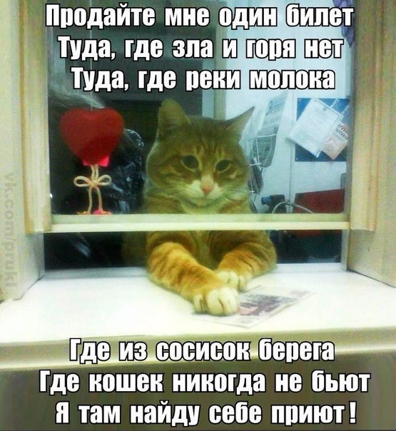 http://cs8.pikabu.ru/post_img/2016/04/09/7/1460201324196811527.jpg