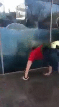 146029635016989717.gif