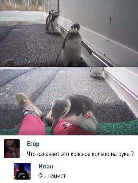 146044275918292004.jpg
