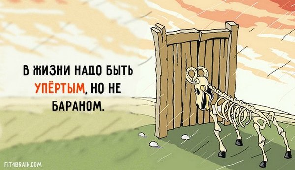 Поговорки про упертых Поговорки про упертых