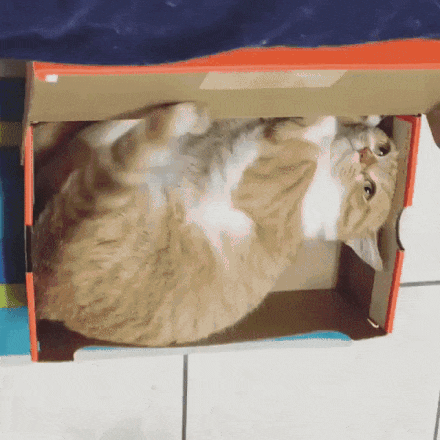 1461163367123375793.gif