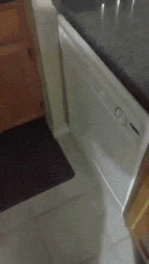 1461186407154767275.gif