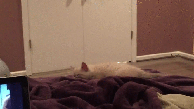 1461390858169257670.gif