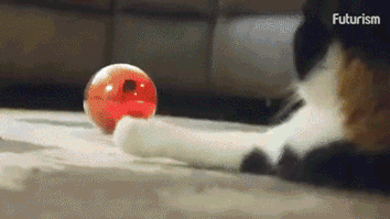 1461531272177829247.gif