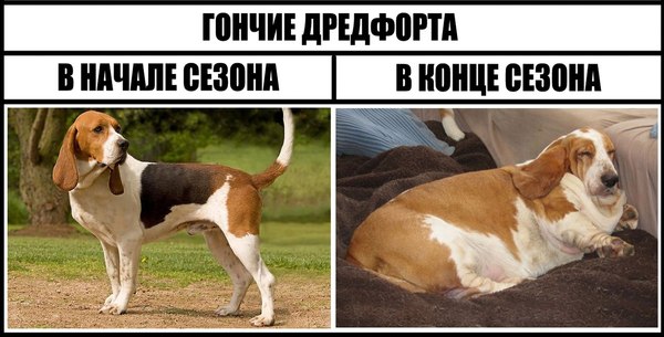 1462194720197985034.jpg