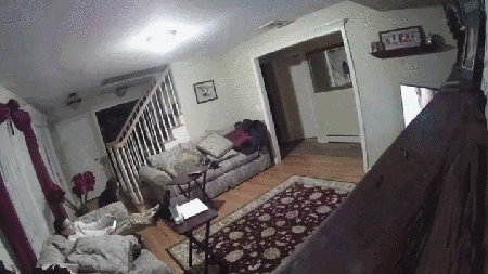 1463086491173396165.gif