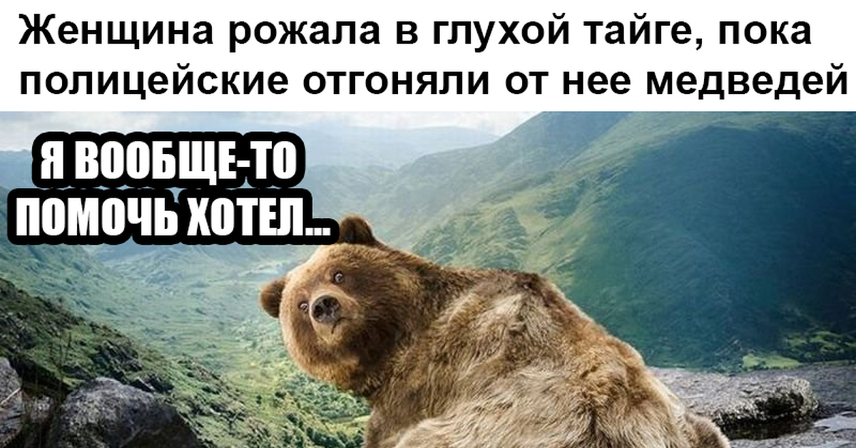 Беременная девушка родила в лесу пока полицейские дрались с медведем 12