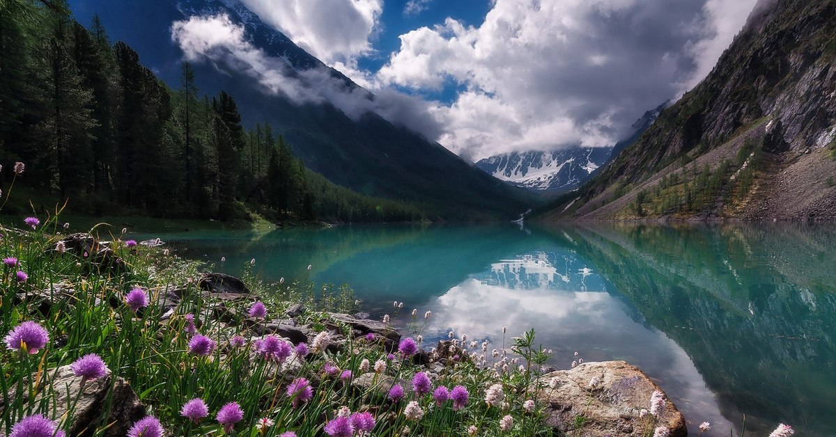 Природа Алтайского Края Фото Самые Красивые