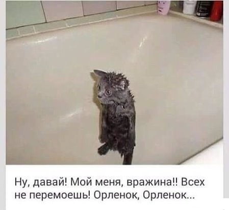 1470080851197346244.jpg
