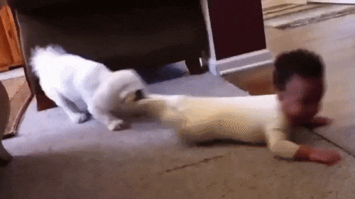 1470215087122245340.gif