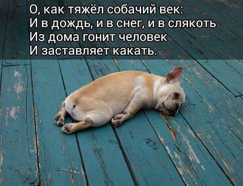 http://cs8.pikabu.ru/post_img/2016/08/10/12/147086053118528664.jpg