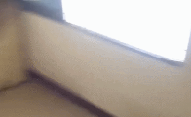 147084427115612026.gif