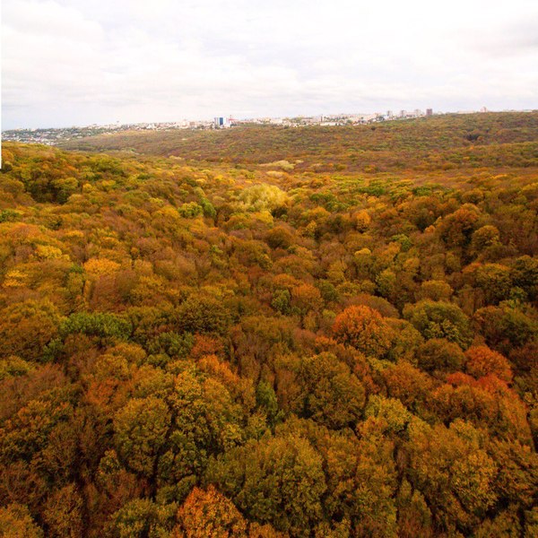 Осенние фото "сверху" на самый благоустроенный город России ставрополь, Природа, осень, длиннопост