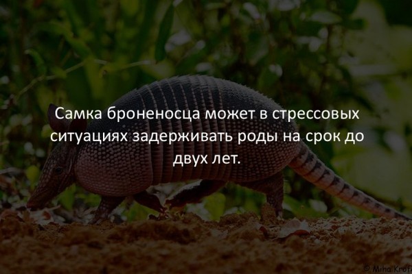 фото самки человека онлайн фото самки человека