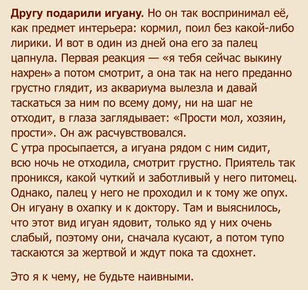 Подарили моему другу игуану Подарили моему другу игуану