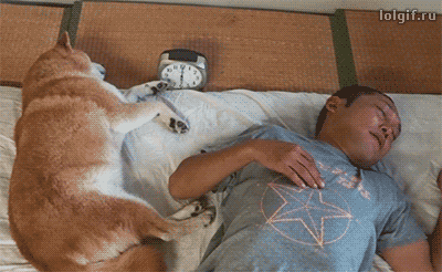 1479990503157521575.gif