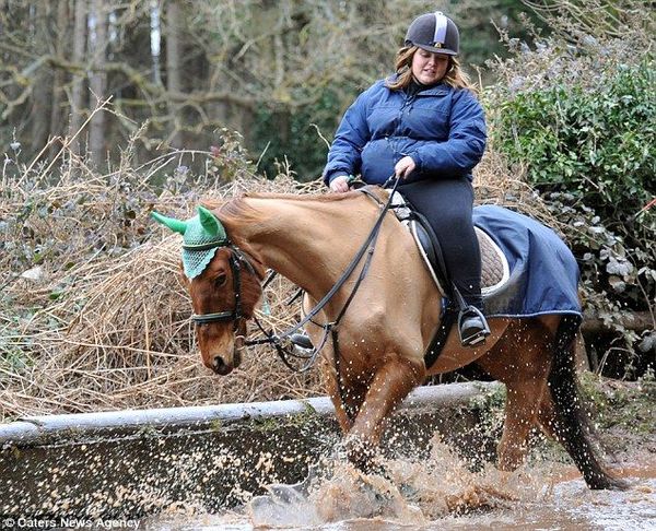 Жительницу Великобритании затравили в соцсетях за издевательства над лошадью новости, лошадь, свинья, живодеры, длиннопост